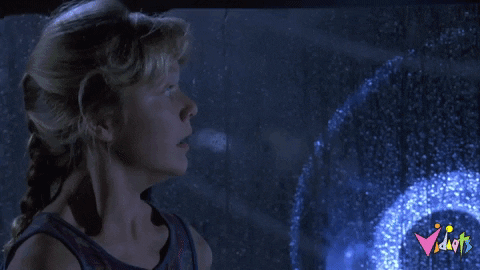 GIF by Vidiots