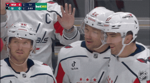 Washington Capitals Yes GIF by NHL