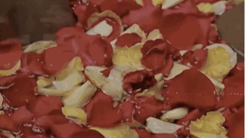 morris chestnut bath GIF