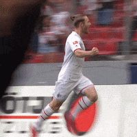 1 Fc Cologne Football GIF by 1. FC Köln