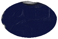 Welcome Back L1 Sticker by Ligue 1