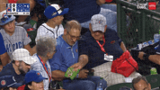 Chicago Cubs Baseball GIF