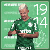 Soccer Futebol GIF by SE Palmeiras
