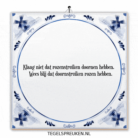 Humor Nl GIF by Tegelspreuken.nl