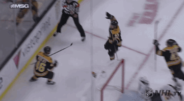 happy ice hockey GIF by NHL