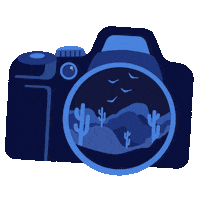 FlyawayImages photography flyawayimages Sticker