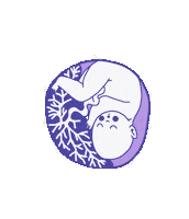 Baby Birth Sticker