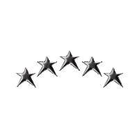 5-Star Sticker by Stray Kids