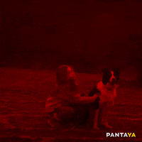 Sky Sobrevivir GIF by Pantaya