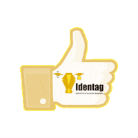 Caravanaselectrónicas Sticker by IDENTAG