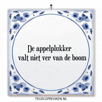 Wijsheid Spreuk GIF by Tegelspreuken.nl