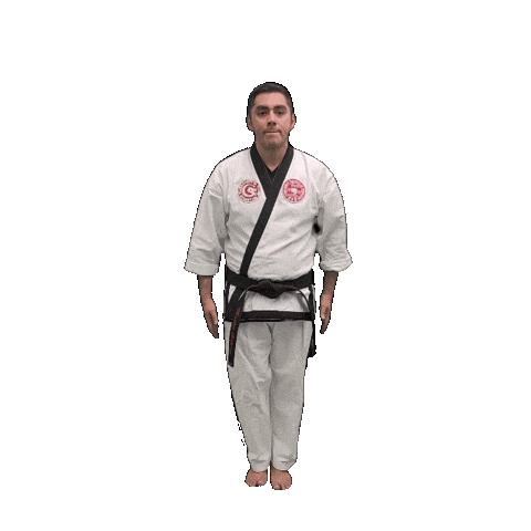 Karate Taekwondo Sticker by Team GMA