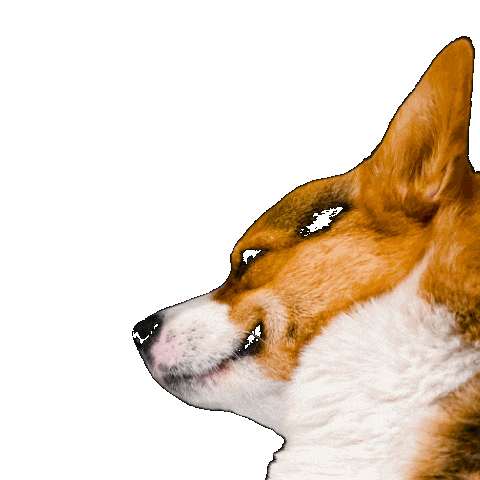 Dog Post Sticker