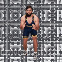 Wrestling Sticker by WVU Tech Golden Bears