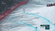 Paralympic Games Ski GIF by International Paralympic Committee
