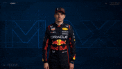 Ver Red Bull GIF by Oracle Red Bull Racing