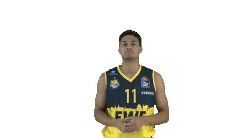 Ewe Baskets Basketball Sticker by EWE Baskets Oldenburg
