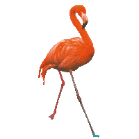Flamant Rose Sticker by Sony Music France