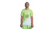 Football Sport Sticker by VfL Wolfsburg