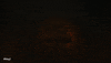 The Trench Shark GIF by Warner Bros. Pictures
