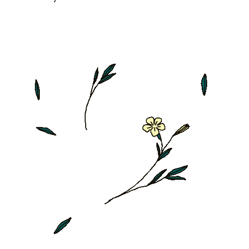 LeQuartierAnime giphyupload flowers 2danimation animatedillustration Sticker