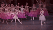 the nutcracker GIF by New York City Ballet