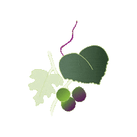 Texas Grape Sticker