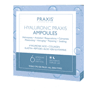 PraxisLaboratorios praxis proteoglicanos laboratorios praxis praxis laboratorios Sticker