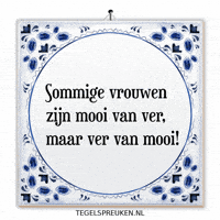 Humor Nl GIF by Tegelspreuken.nl