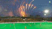 fire show GIF by HockeyNL