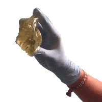 Waxing Sticker by SUGARED + BRONZED