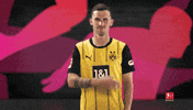 Well Done Dortmund GIF by Bundesliga