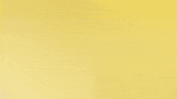 Borussia Dortmund Hello GIF by Bundesliga