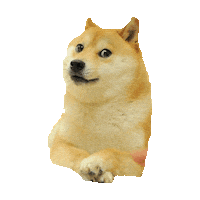 doge STICKER by imoji