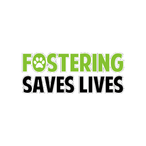 Foster Sticker by Alberta Animal Rescue Crew Society (AARCS)