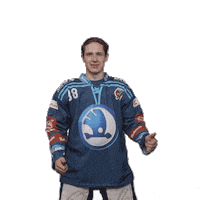Hockey Thumbs Up Sticker by HC Škoda Plzeň