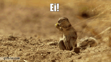 comunicacaocrbio04 giphyupload GIF