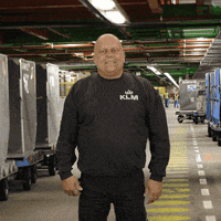 Royal Dutch Airlines Thumbs Up GIF by KLM