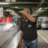 Looking Royal Dutch Airlines GIF by KLM