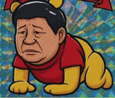 Xi Jinping GIF