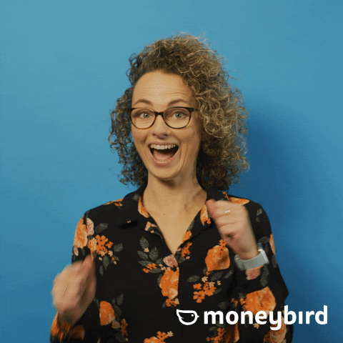 Moneybird giphyupload moneybird GIF