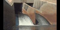 Education Motion GIF by DIIMSA Stock