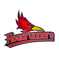 Baseball Team Sticker by Berny Rodz