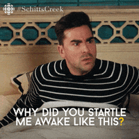 Shocked Schitts Creek GIF by CBC