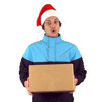 Chronopost christmas gift delivery noel Sticker