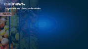GIF by euronews