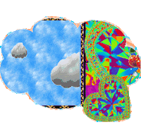 rain lol Sticker by Re Modernist