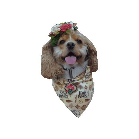 Lord Of The Rings Sticker by Geekster Pets