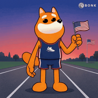 American Flag Sprinting GIF by BONK