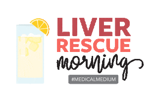 Fruit Wellness Sticker by Medical Medium